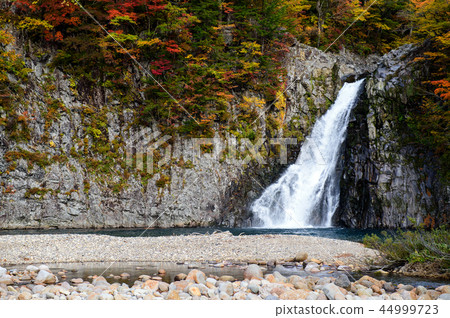 Fall Hakata Falls Akita 44999723