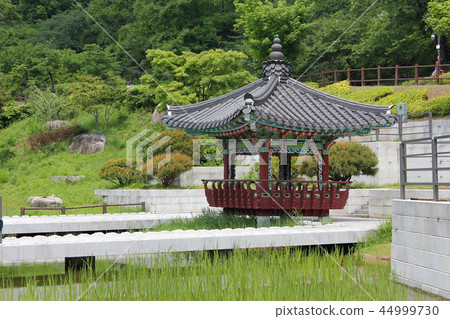 North Seoul Dream Forest 44999730