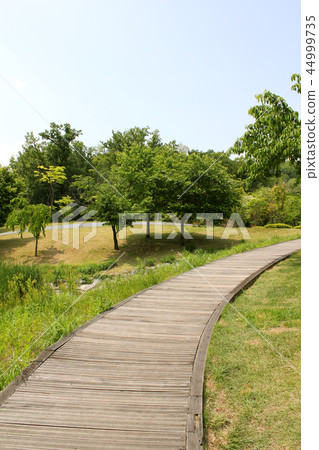 North Seoul Dream Forest 44999735