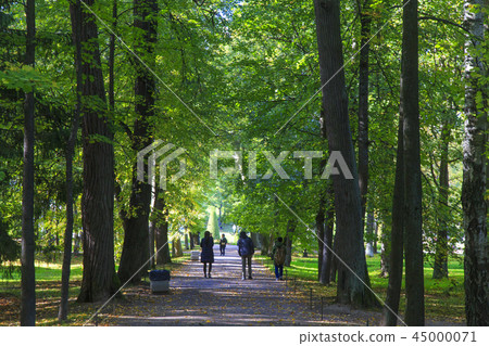 聖彼得堡，俄羅斯 45000071