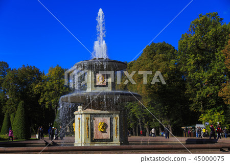 聖彼得堡，俄羅斯 45000075