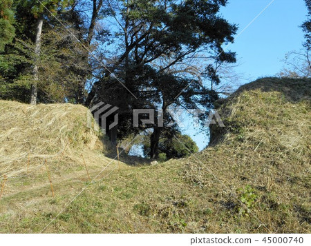 Ohu城堡Toraguchi和Dobashi 45000740