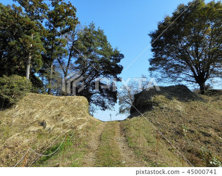 Ohu城堡Toraguchi和Dobashi 45000741