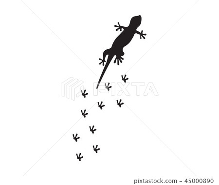Lizard Chameleon Gecko Silhouette Lizard Chameleon Gecko Silhouette 45000890