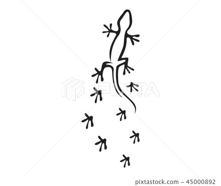 Lizard Chameleon Gecko Silhouette 45000892