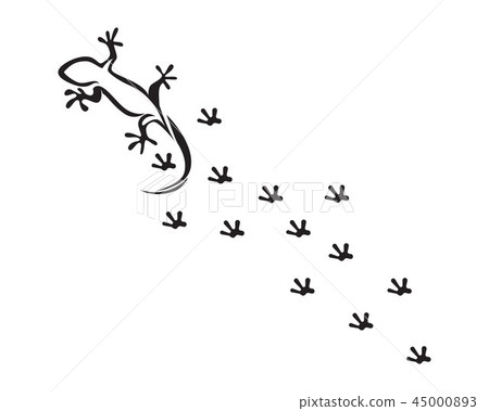 Lizard Chameleon Gecko Silhouette Lizard Chameleon Gecko Silhouette 45000893