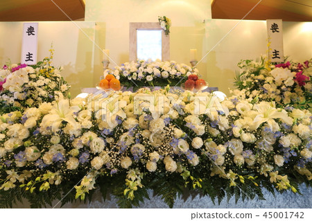 花壇 花壇 45001742