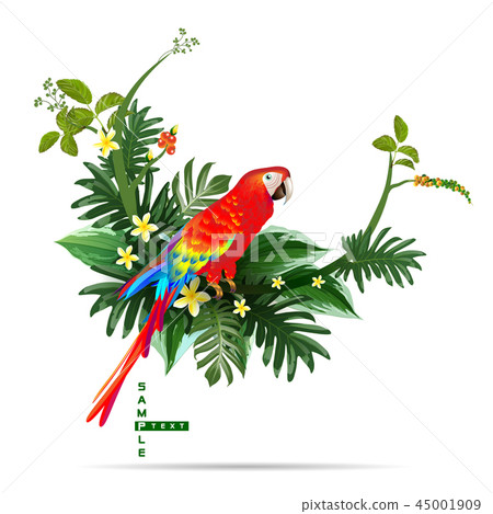 Exotic tropical leaf background in greeting. 45001909
