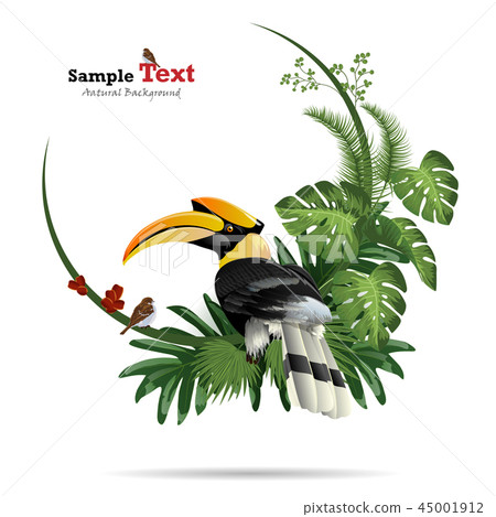 Exotic tropical leaf background in greeting. Exotic tropical leaf background in greeting. 45001912