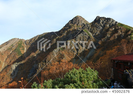 A way to the summit of the Shiokami-dake in the Southern Alps 45002876