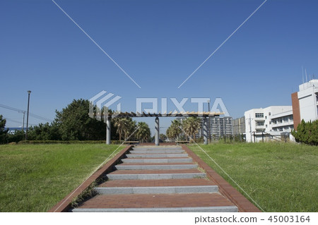 Urayasu City October 45003164