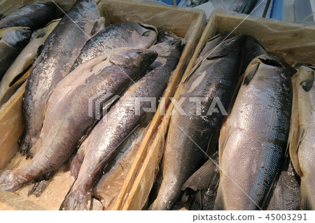 三文魚 三文魚 45003291