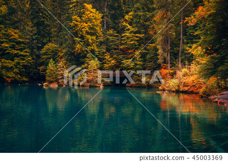 Autumn time at romantic forest lake Blausee, Switzerland. Autumn time at romantic forest lake Blausee, Switzerland. 45003369
