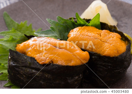 戰士戰士卷 戰士戰士卷 45003480