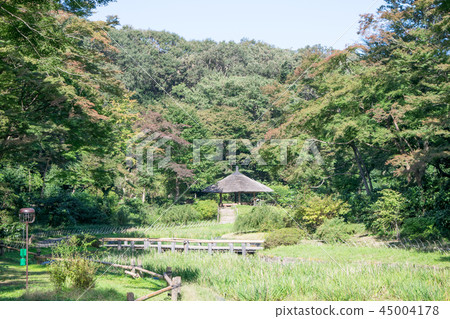 Tokyo Metropolitan Meiji Jingu Gyoen Shibata Tokyo Metropolitan Meiji Jingu Gyoen Shibata 45004178