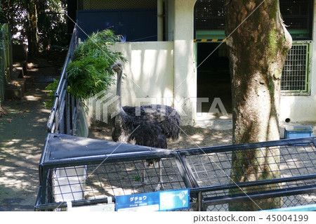 Nogeyama zoo Nogeyama zoo 45004199