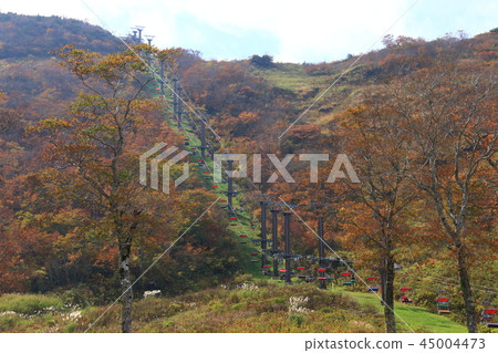 Tenjindaira and Zen lifts of autumn Tanigawadake autumn leaves 45004473