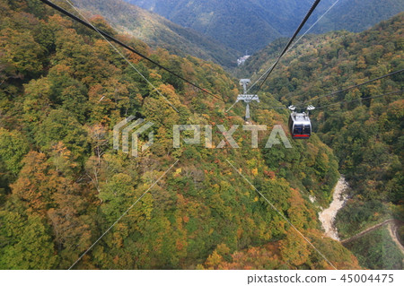 Fall Tanigawadake Tanigawadake Ropeway Fall Tanigawadake Tanigawadake Ropeway 45004475