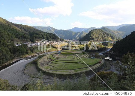 赤島的水稻梯田 赤島的水稻梯田 45004980