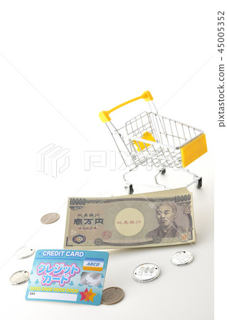 Is the payment cash? Is it a credit card? 45005352