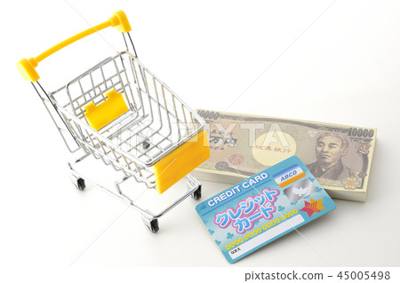 Is the payment cash? Is it a credit card? 45005498