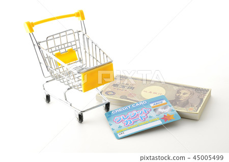 Is the payment cash? Is it a credit card? 45005499