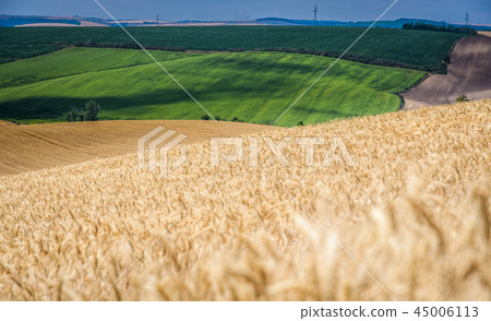 Moravian Tuscany Kyjov 45006113