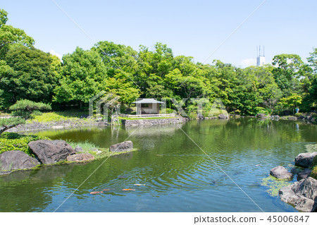 名古屋市天鵝花園初夏 名古屋市天鵝花園初夏 45006847