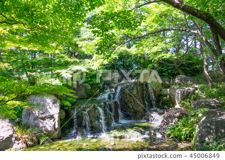 名古屋市天鵝花園初夏 名古屋市天鵝花園初夏 45006849