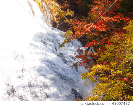 Nikko & Oku Nikko & Lake Chuzenji Autumn leaves 45007487