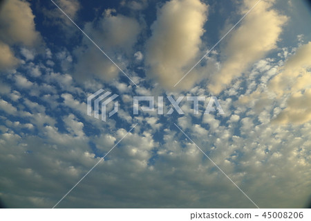 雲 雲 45008206