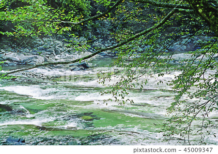 Mountain stream 45009347