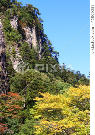 秋天的川川河 秋天的川川河 45009385