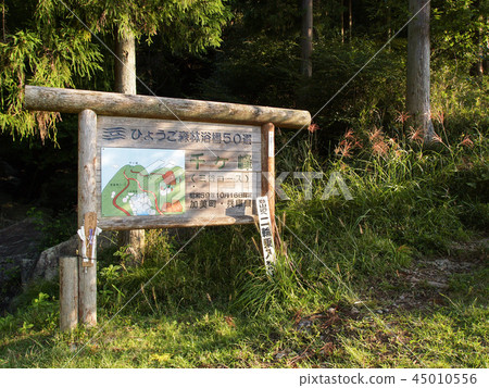 Sengenbo Hyogo 50 mountain 45010556