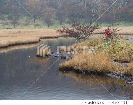 針灸艾灸在棺材裡 45011911