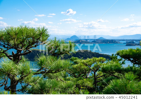 Mt. Inbasan第二觀景台和松樹 Mt. Inbasan第二觀景台和松樹 45012241