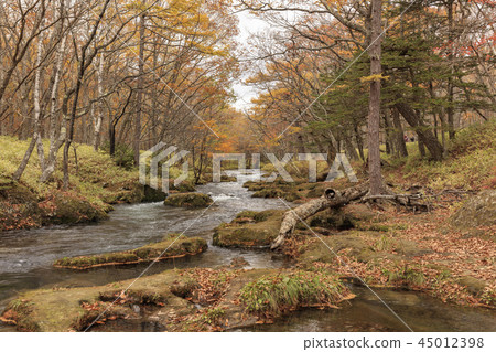 秋葉和溪日本秋天 45012398