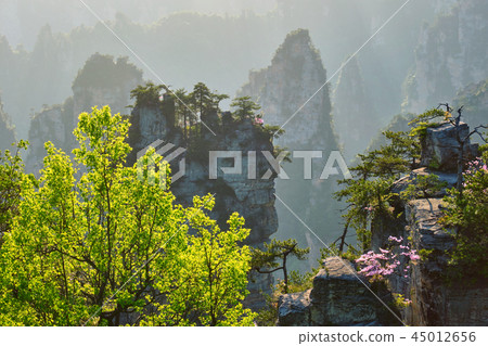 Zhangjiajie mountains, China 45012656