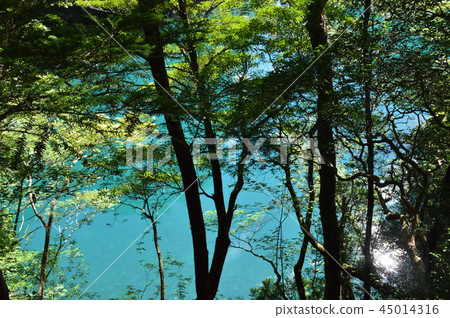 Oma Dam (Dream Suspension Bridge / Shizuoka) Oma Dam (Dream Suspension Bridge / Shizuoka) 45014316