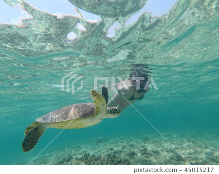 Hateruma Island Snorkel 45015217