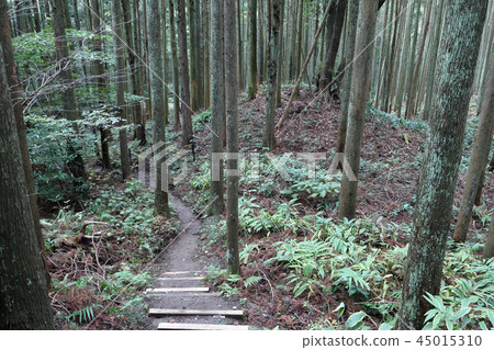 Akuru Oozuka (Kimitsu City) 45015310