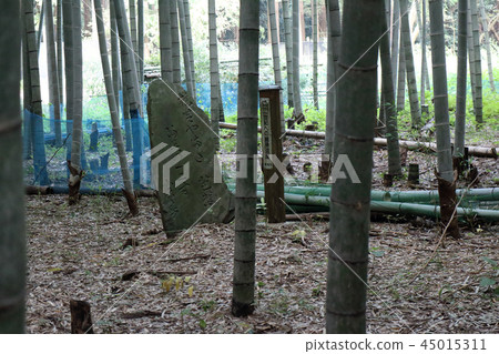 Tombstone (Kimitsu City) 45015311