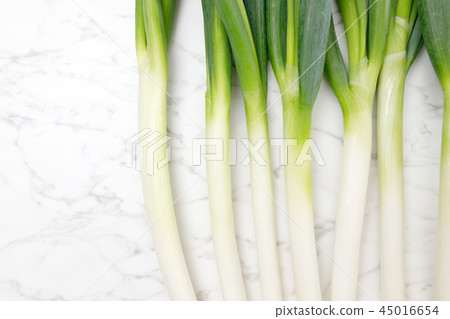 Vegetables Onion Deep green onion White onion 45016654