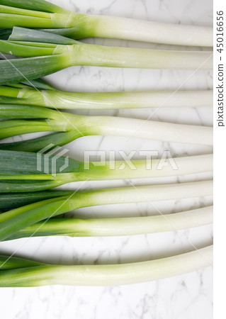 Vegetables Onion Deep green onion White onion Vegetables Onion Deep green onion White onion 45016656