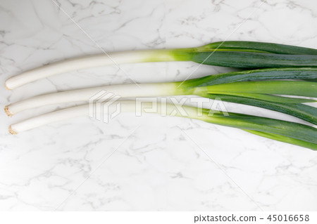 Vegetables Onion Deep green onion White onion Vegetables Onion Deep green onion White onion 45016658