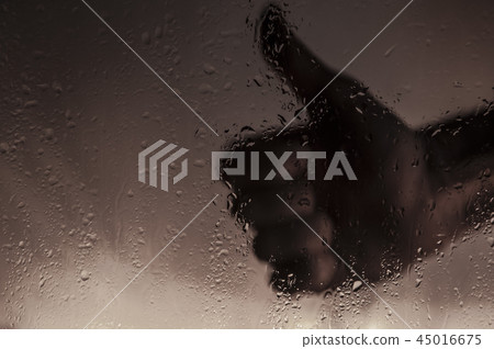Hand behind the glass. Dew on glass. Hand behind the glass. Dew on glass. 45016675