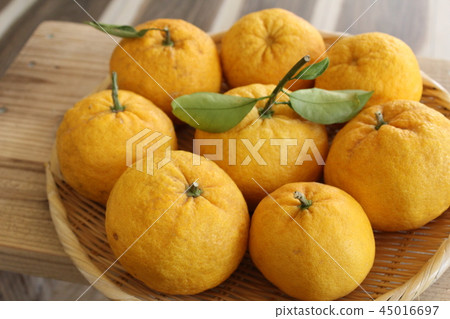 Sweet summer harvest 45016697