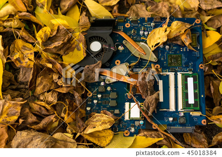 electronic circuit Board lying in autumn leaves electronic circuit Board lying in autumn leaves 45018384
