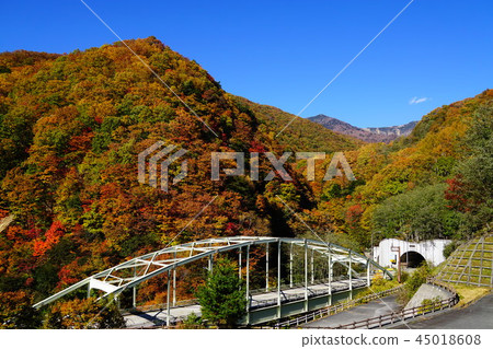 色的葉子Kashisaka隧道 色的葉子Kashisaka隧道 45018608