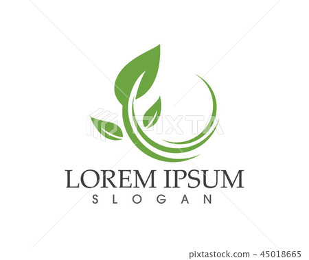 leaf green nature logo and symbol template Vector 45018665